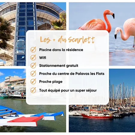 Lägenhet Le Scarlett - Piscine, Parking Et Proche Palavas-les-Flots